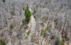 Holly Mountain Road, Clinton, AR 72031