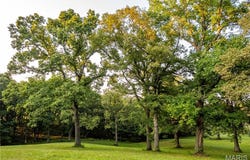 Highway D - Tract 6a (12.1+/- Acres), Eolia, MO 63344