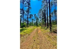 Hubert Morris Rd., Wilmer, AL 36587