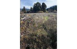 Holmes Flat Road, Redcrest, CA 95569