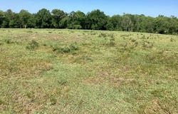 4837 Quail Tower Rd, LUVERNE, AL 36049