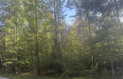 271 VANDYKE GREENSPRING RD, TOWNSEND, DE 19734