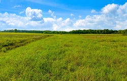 County Road 25200, Roxton, TX 75435