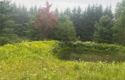 South Road, Belmont, NY 14813