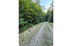 River Road lot: #2, Boonville, NY 13309