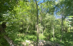 Cassidy Road, Bellevue, MI 49021