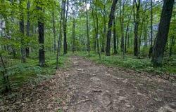 Fosmo Drive lot: 2, Webster, WI 54893