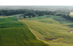 Jack Tate Road, OBION, TN 38240