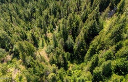 466 Rincon Dr, Sandpoint, ID 83864
