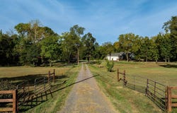 29 Piney, Bigelow, AR 72016