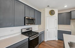 1294 Wild Tulip Circle, Bartlett, IL 60103