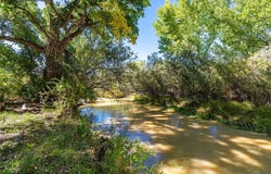 102 County Road 61, Embudo, NM 87531