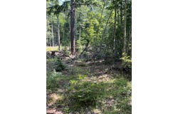 2137 N Hulbert Rd, Hulbert, MI 49768