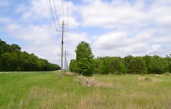 HWY 69, Alba, TX 75410