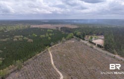 Mosley Road, Stapleton, AL 36578
