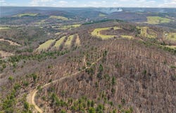 Eureka Springs, AR 72632