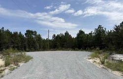 Ellwood Rd. lot: 11, Galivants Ferry, SC 29544