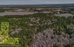 Gertie Lane, Cordesville, SC 29434