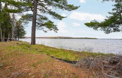 3500 Borchers Way, Grayling, MI 49738