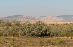 5600 S 1500 E, Vernal, UT 84078