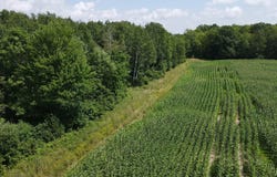 Schalk Road, Ogema, WI 54459