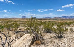 Cedar Springs Road, Terlingua, TX 79852