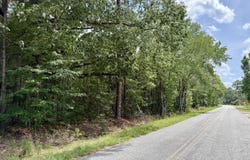 Cohen Road, Pineland, SC 29934