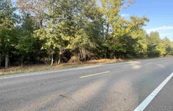 Highway160, Doddridge, AR 71834