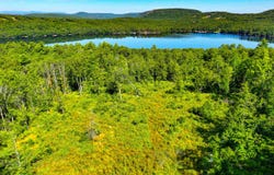 Old Whitney Road, Harrison, ME 04040