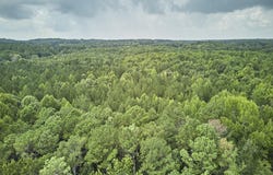 Beal Road, Robbins, NC 27325