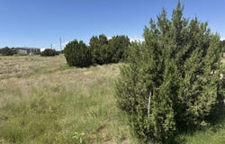 20 County Road 5203, Concho, AZ 85924