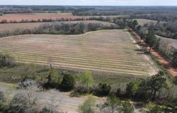 Lot 4 Adams Road, Ashford, AL 36312