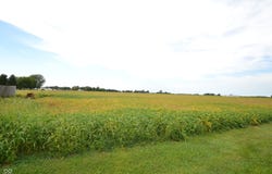 1334 S 350 E, Tipton, IN 46072