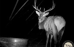 Majerus Road, Roundup, MT 59072