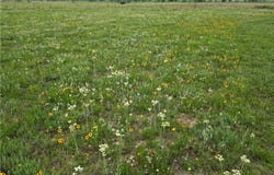 2332 County Road 2109, Lometa, TX 76853