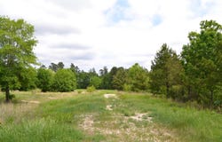 HWY 69, Alba, TX 75410
