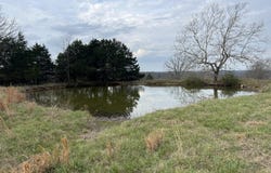 Curtner Road, Norwood, MO 65717