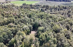 Ward Road, Sterling, MI 48659