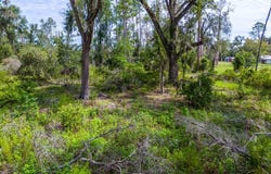 1705 SW MLK DRIVE, Jasper, FL 32052