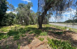 COUNTY ROAD 42, UMATILLA, FL 32784