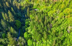Upper N Ford Rd, Florence, OR 97439