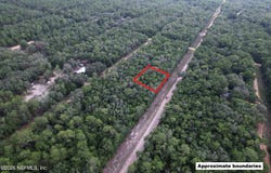 GLORIA, Florahome, FL 32140