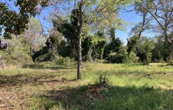 132 May Street, Johnston, SC 29832