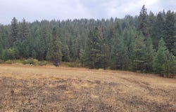 Adams County, Council, ID 83612