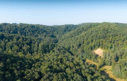 Nubbins Ridge Road, BEESON, WV 24714