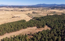 9270 E Peone Rd, Mead, WA 99021