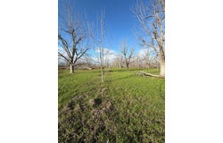 Carter Road, Naylor, GA 31641