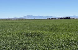 1500 W, Pingree, ID 83262