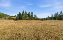 177 Sawmill Rd, Ariel, WA 98603