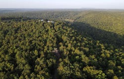21 Evergreen Road, Bee Branch, AR 72013